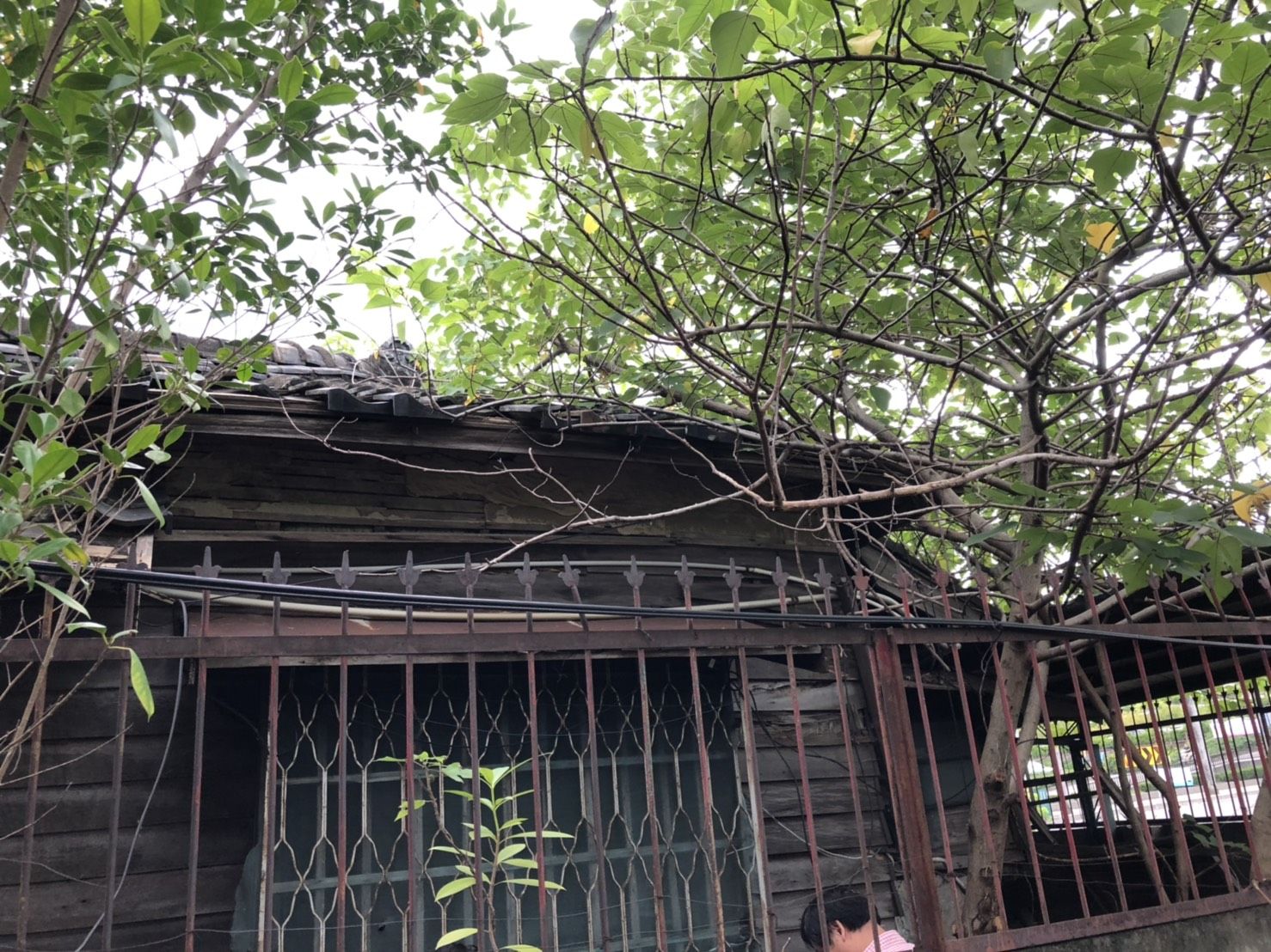 草鞋墩雅舍