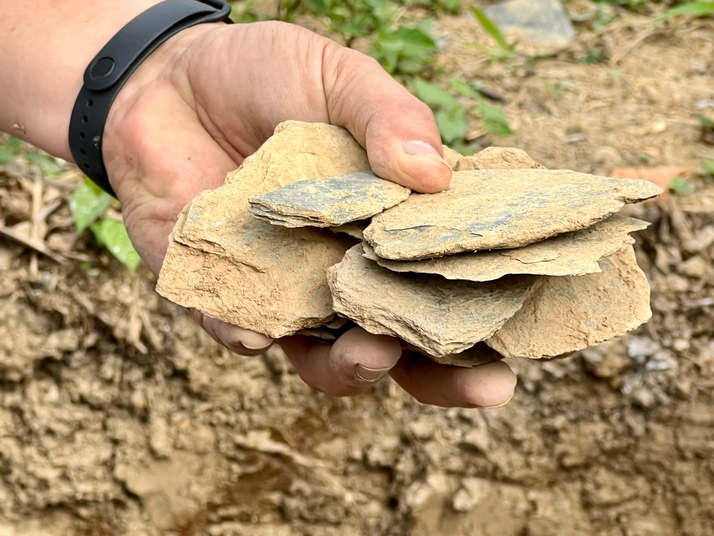 發現出土石器，可見人為打製或切割使用痕跡