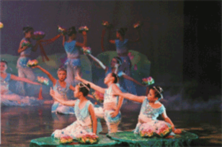 Image-5