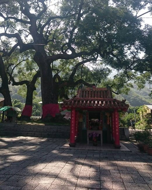 Image-牛轀轆神木之驚喜不斷的客家聚落(張玉華拍攝)