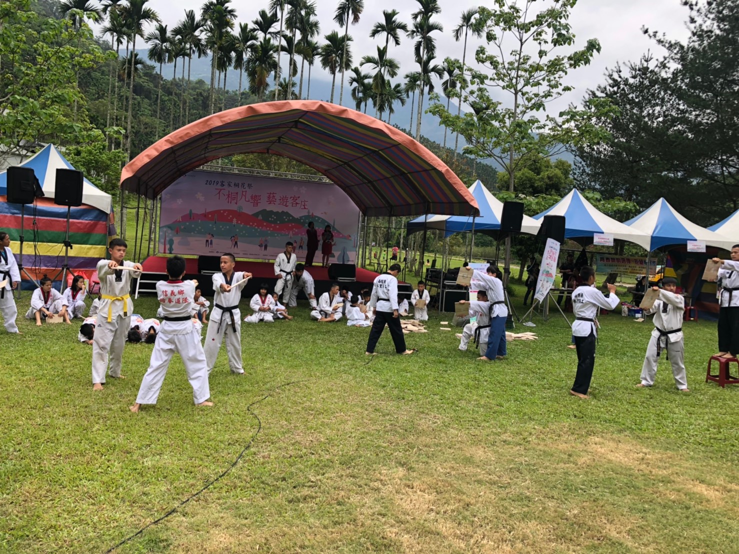 Image-0413水里客家桐花祭_190413_0049(9)