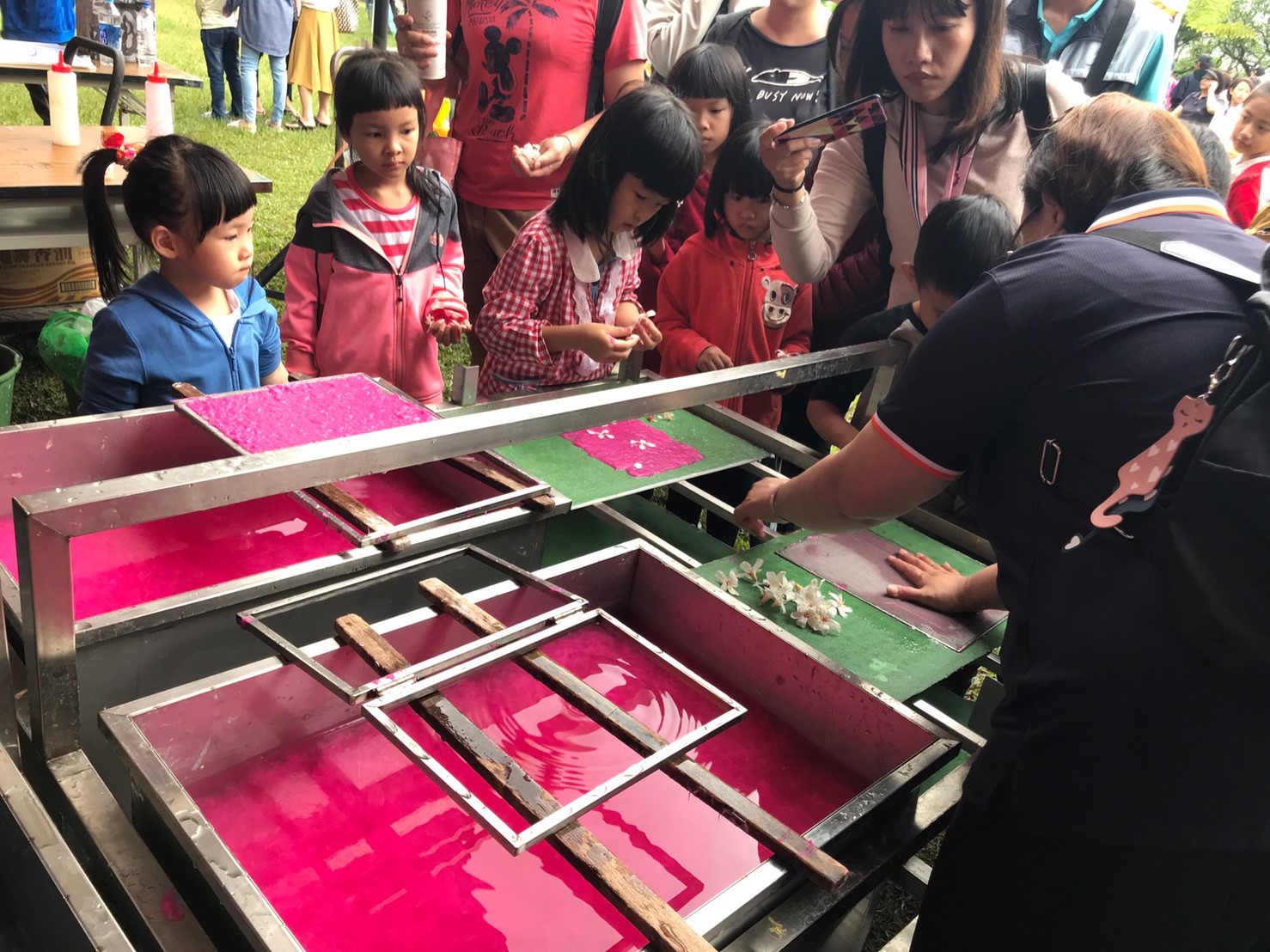 Image-2019桐花飛舞悠遊客庒_190423_0007(2)