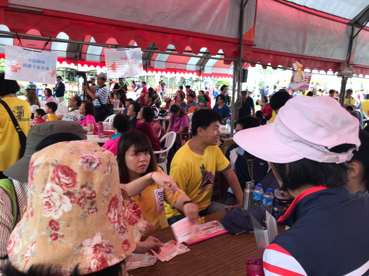 2019桐花飛舞悠遊客庒