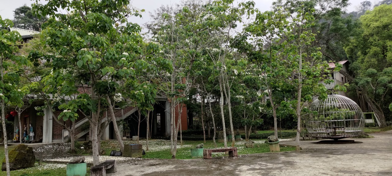 Image-LINE_ALBUM_2023南投縣桐花小旅行「2023埔里一新桐成」0415第一梯次_230418_11(9)