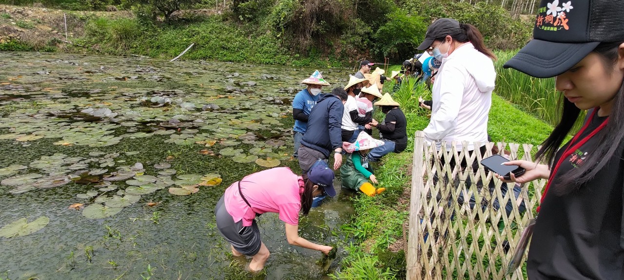 Image-LINE_ALBUM_2023南投縣桐花小旅行「2023埔里一新桐成」0415第一梯次_230418_3(7)