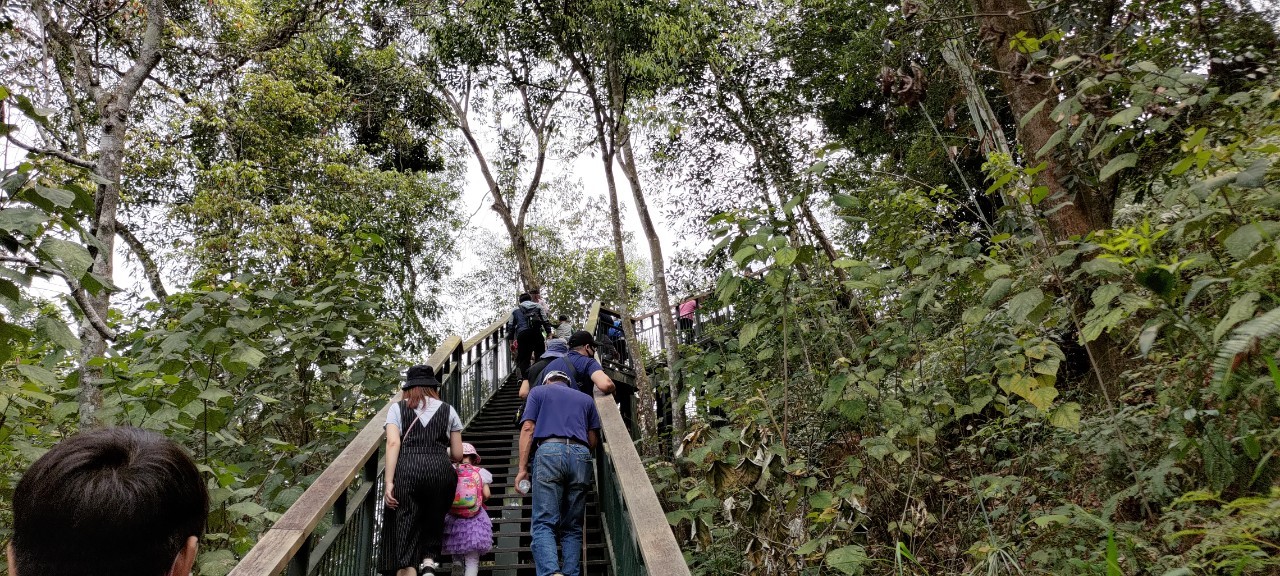 Image-LINE_ALBUM_2023南投縣桐花小旅行「2023埔里一新桐成」0415第一梯次_230418_6(10)