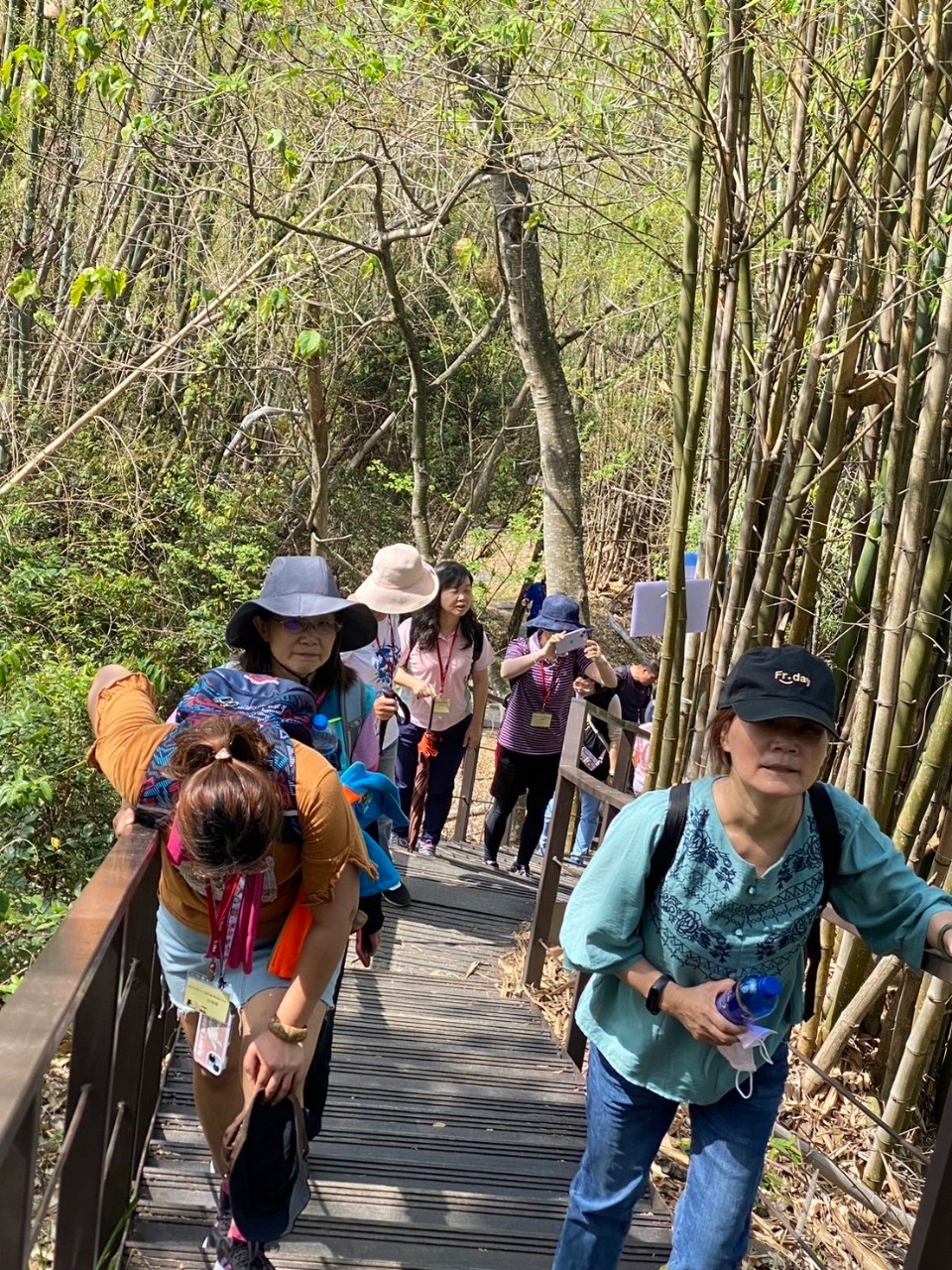 Image-LINE_ALBUM_2023南投縣桐花小旅行「2023草屯九九峰步道-賞桐趣小旅行」第二梯次_230418_9(8)