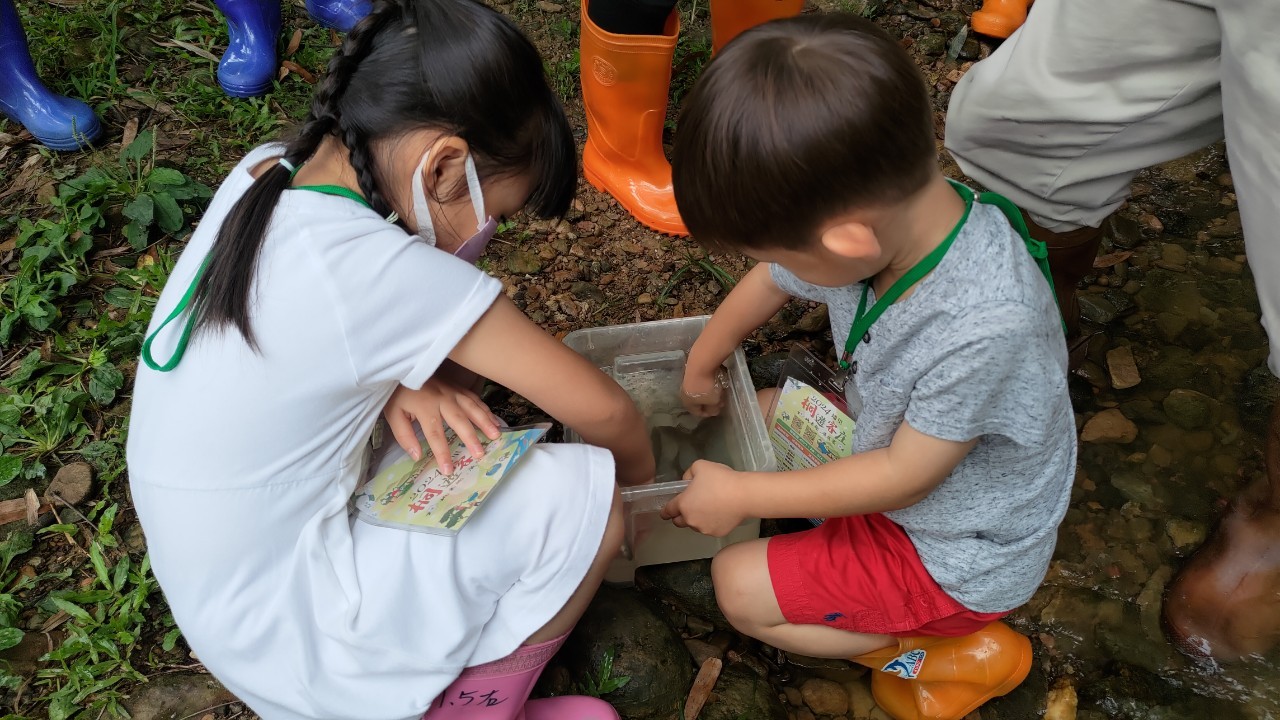 Image-LINE_ALBUM_1130427埔里桐花小旅行(第1梯次)_240430_14(10)