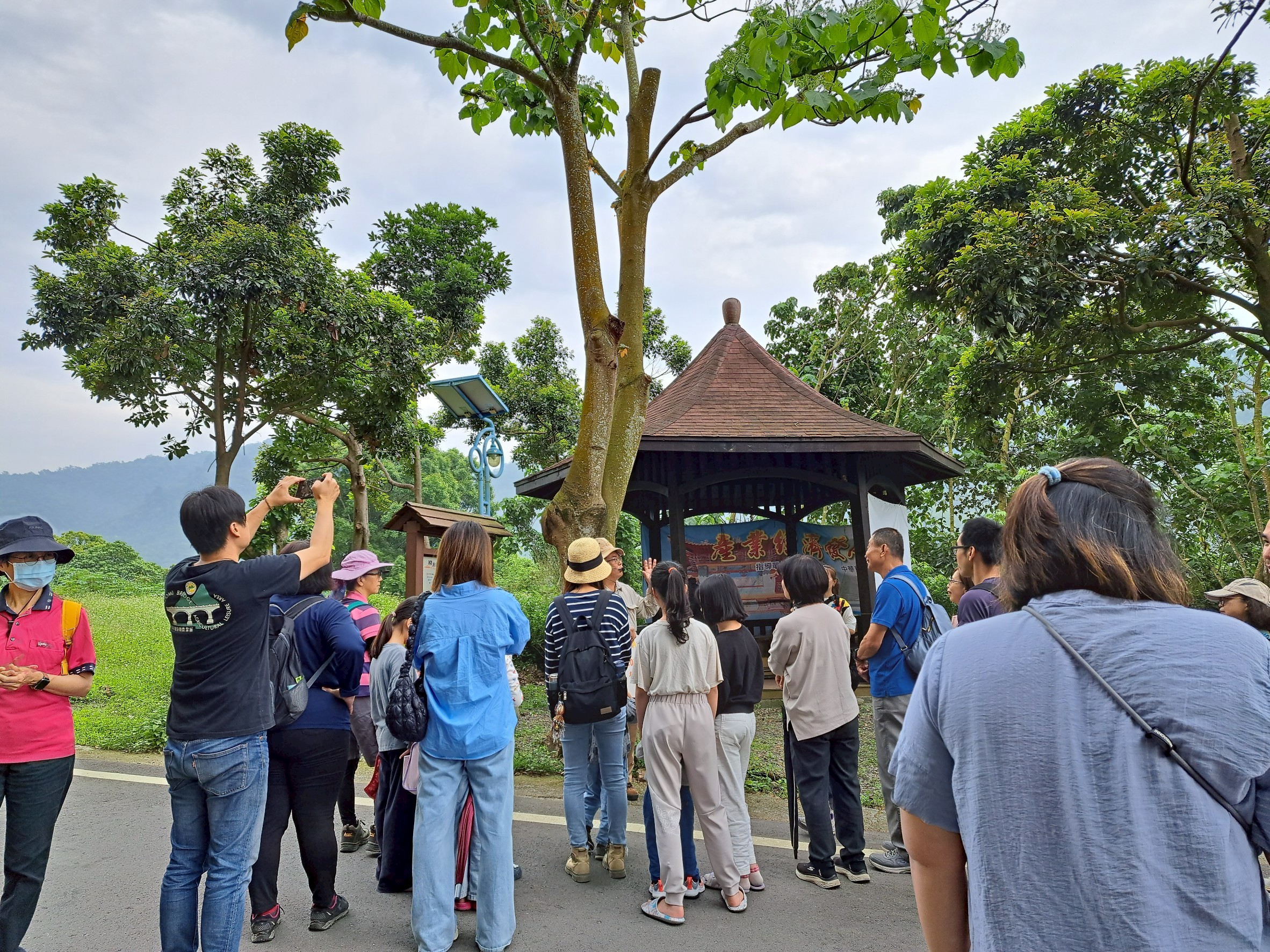 Image-LINE_ALBUM_0412國姓桐花小旅行「好客國姓~HAKKA桐花小旅行」第1梯次_250419_15(5)
