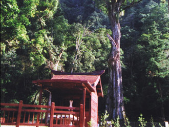 Image-gu01-2-4