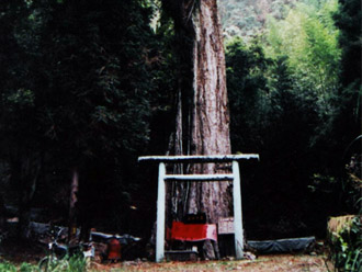 Image-gu01-2-3