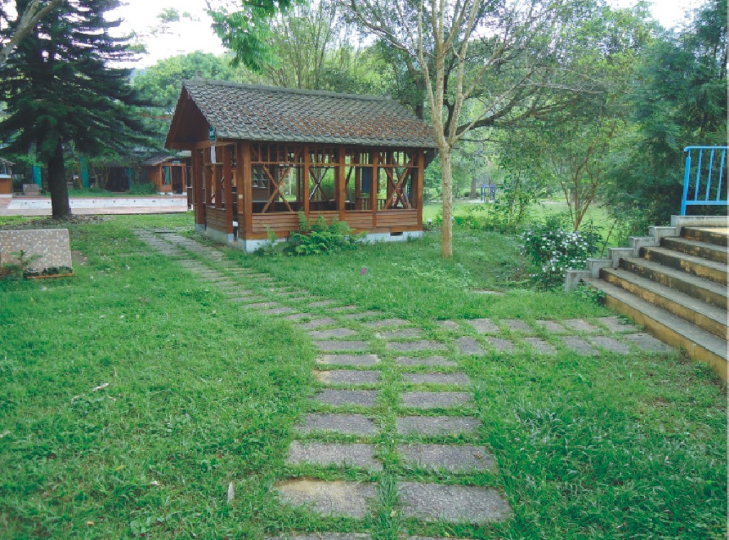 Image-50-4