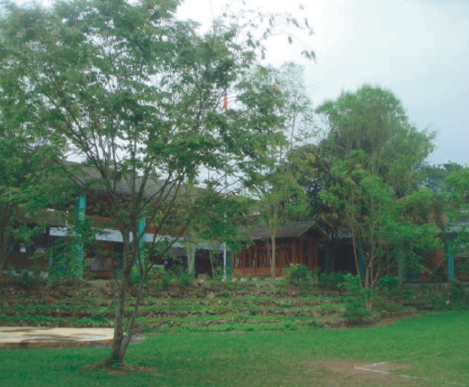 Image-50-3