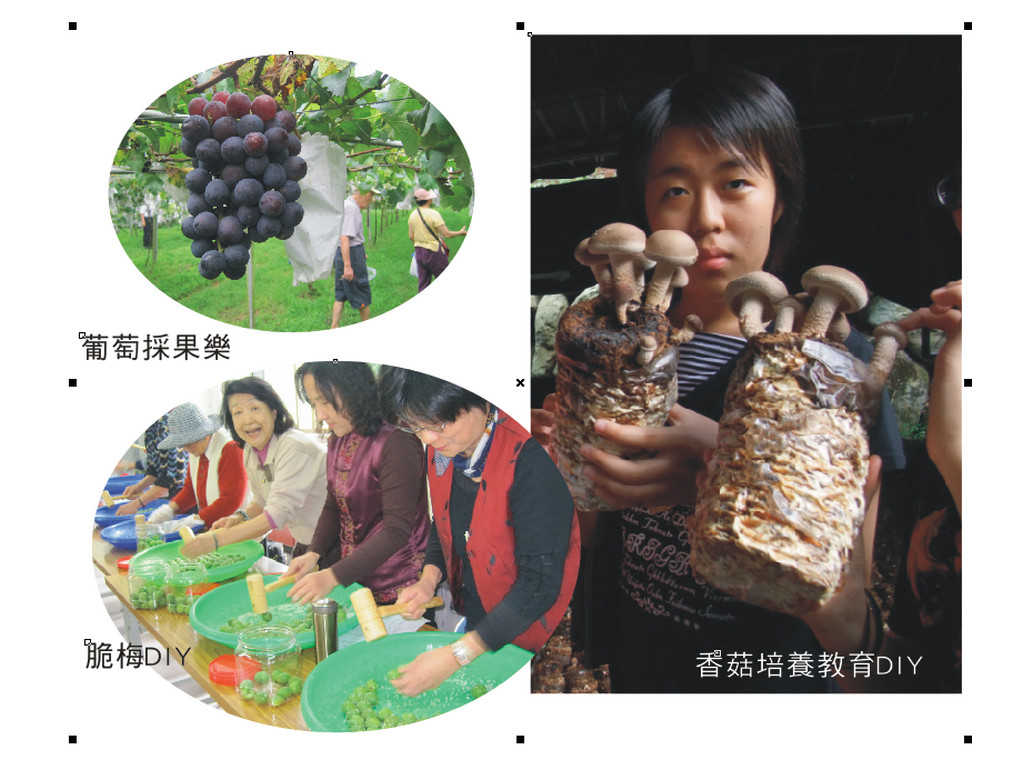 Image-23-2