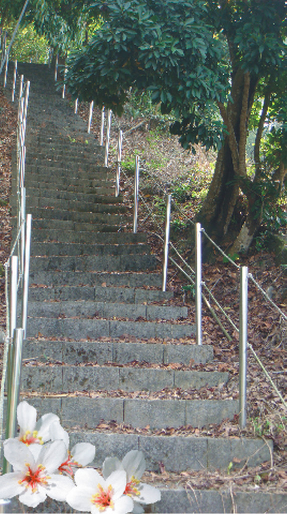 Image-59-4