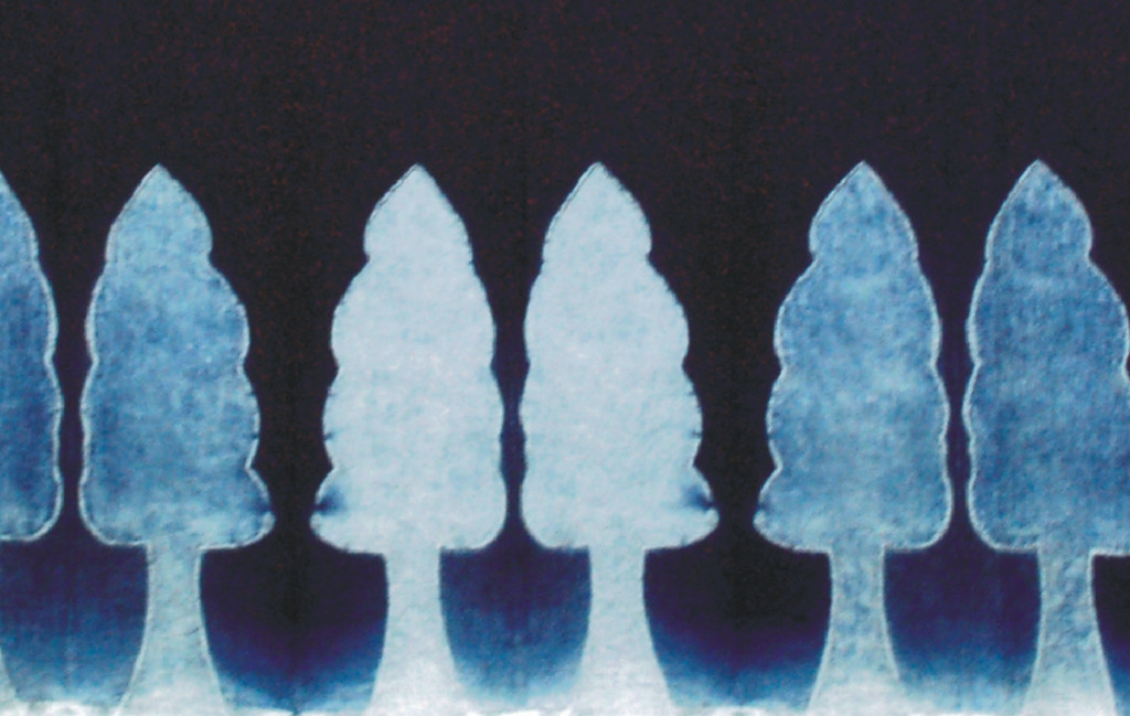 Image-62-5