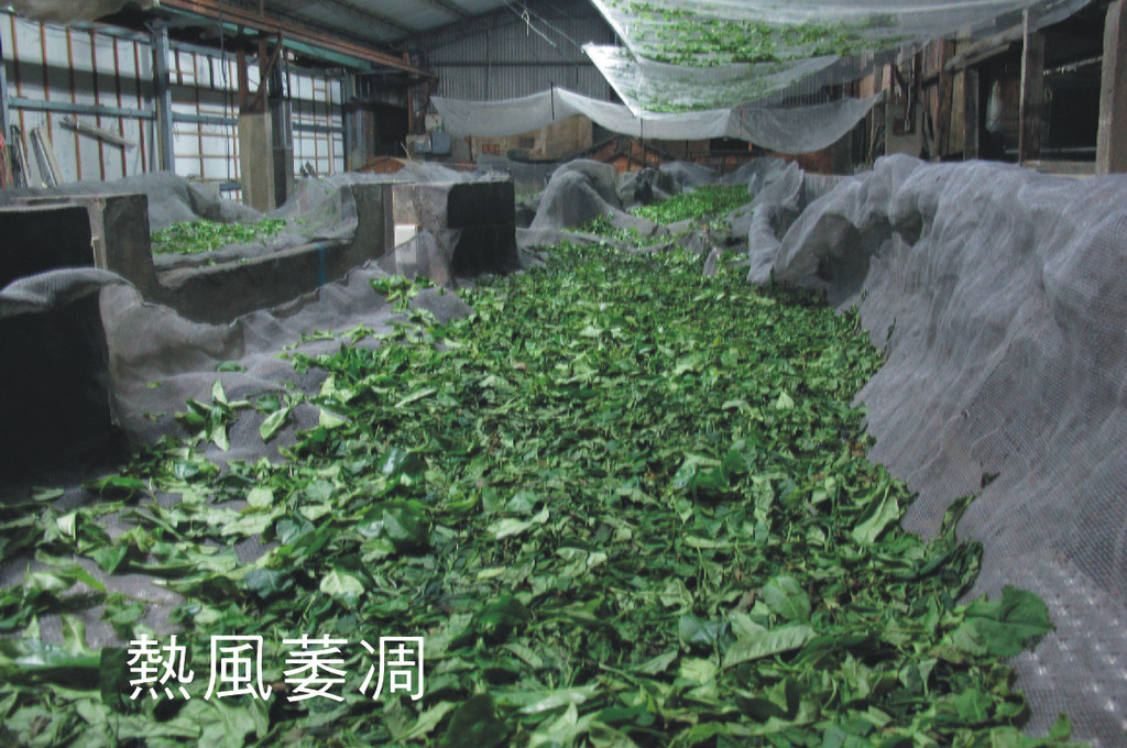 Image-64-4
