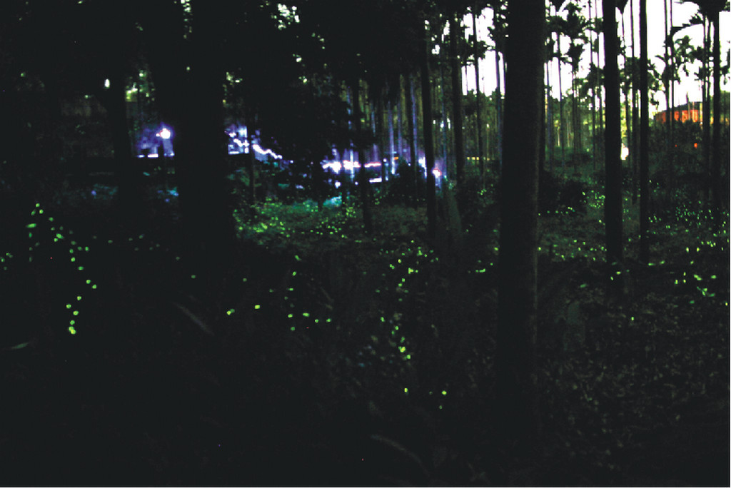 Image-66-4