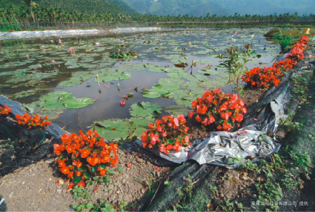 Image-66-3