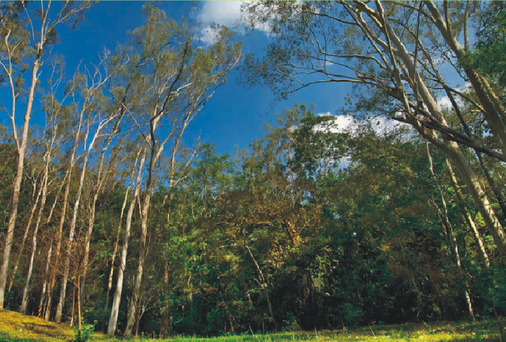 Image-66-2