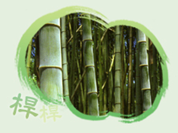 Image-竹桿