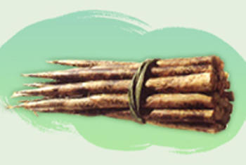 Image-筍是竹最懂得利用的部位