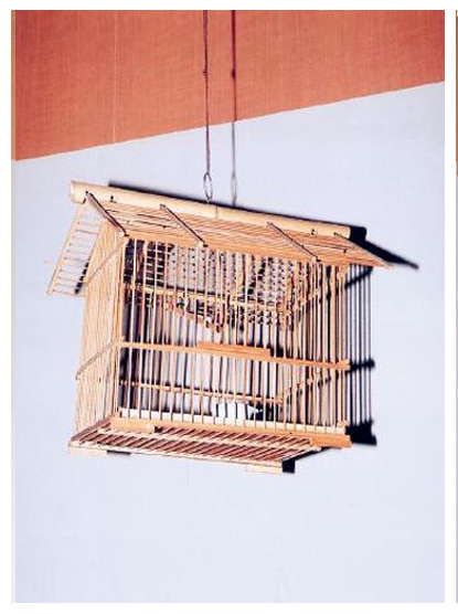 鳥籠