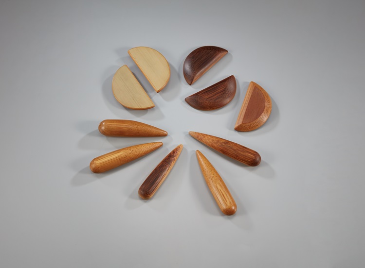 Image-016-魏春棋-竹健康