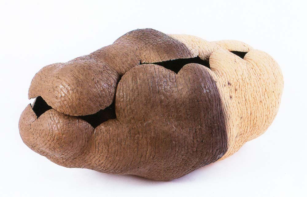 陶藝類佳作蔡宗隆(殼)