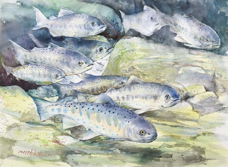 22陳志盛《入選》‧  力爭上游　78×56cm