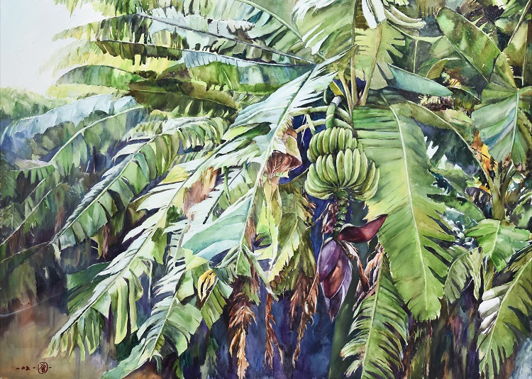 32曾賢財《入選》‧  香蕉園一角　110×76cm