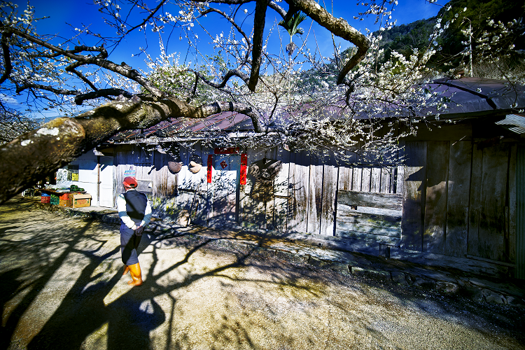 老梅.古厝.歸人