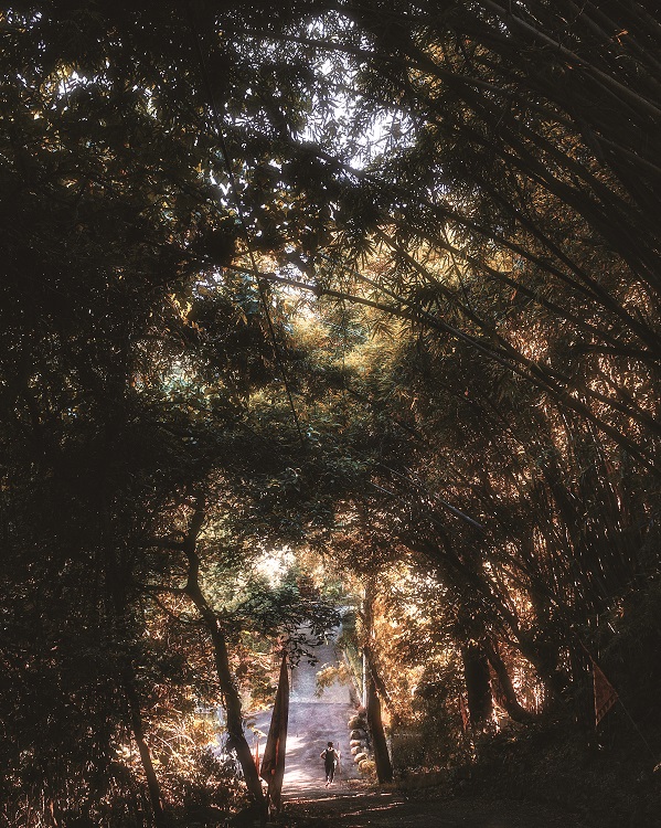 凝望