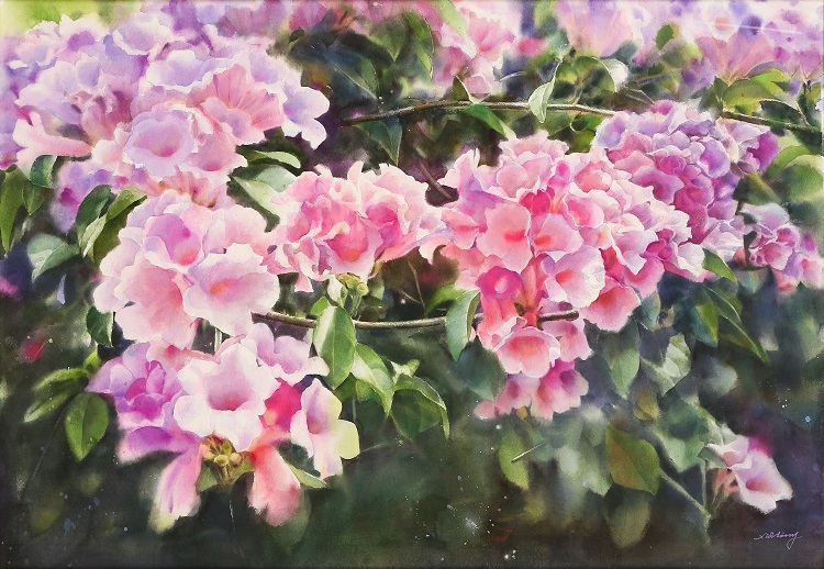春華
