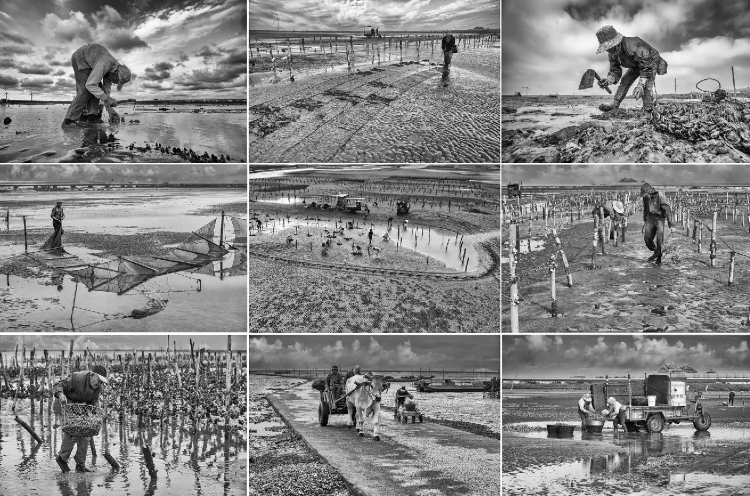 潮間帶