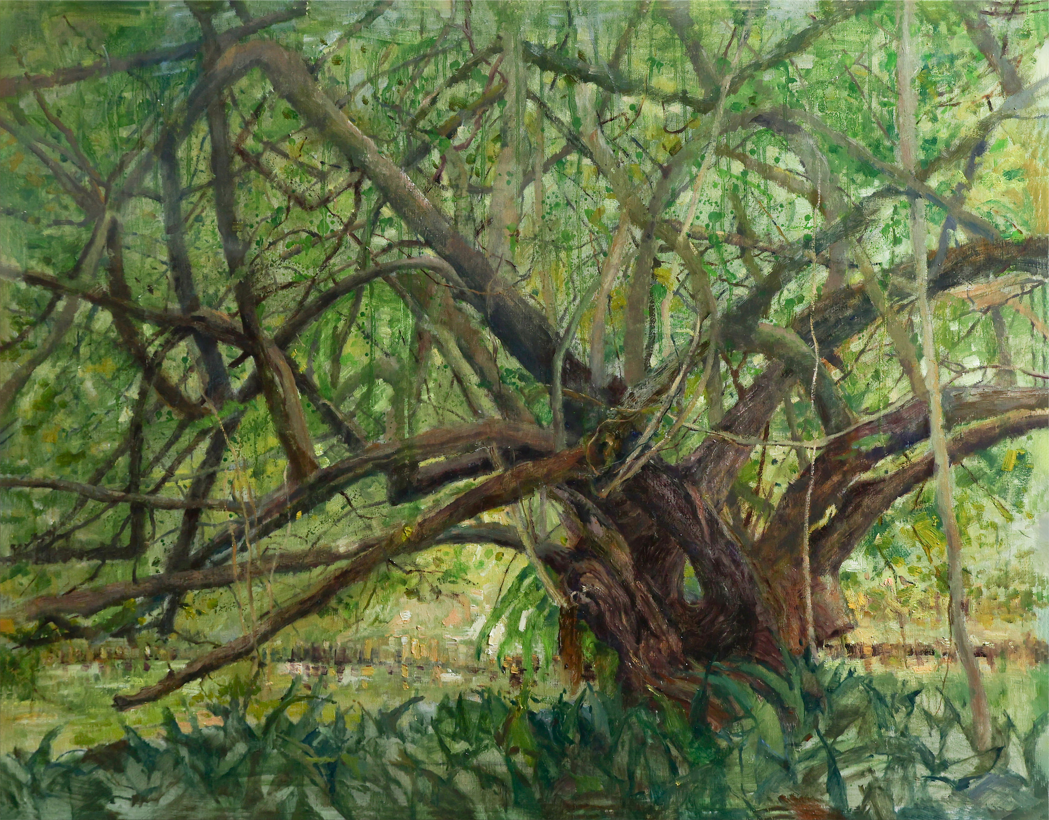 14-0W0A1074-簡勝彥-黃槿-116.5x91cm-入選