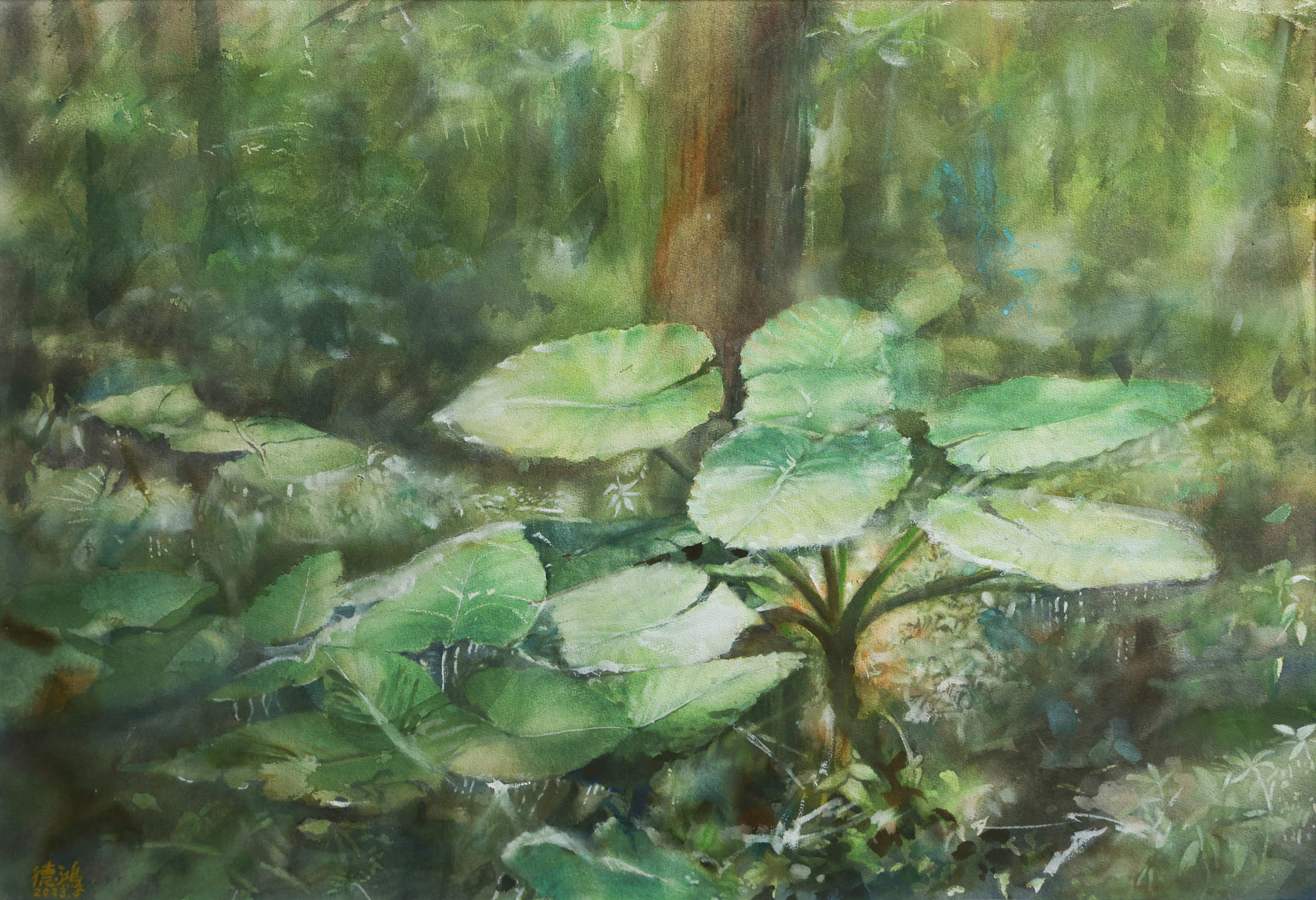 12-0W0A1182-賴德鴻-美哉溪頭森林-52x76cm-入選