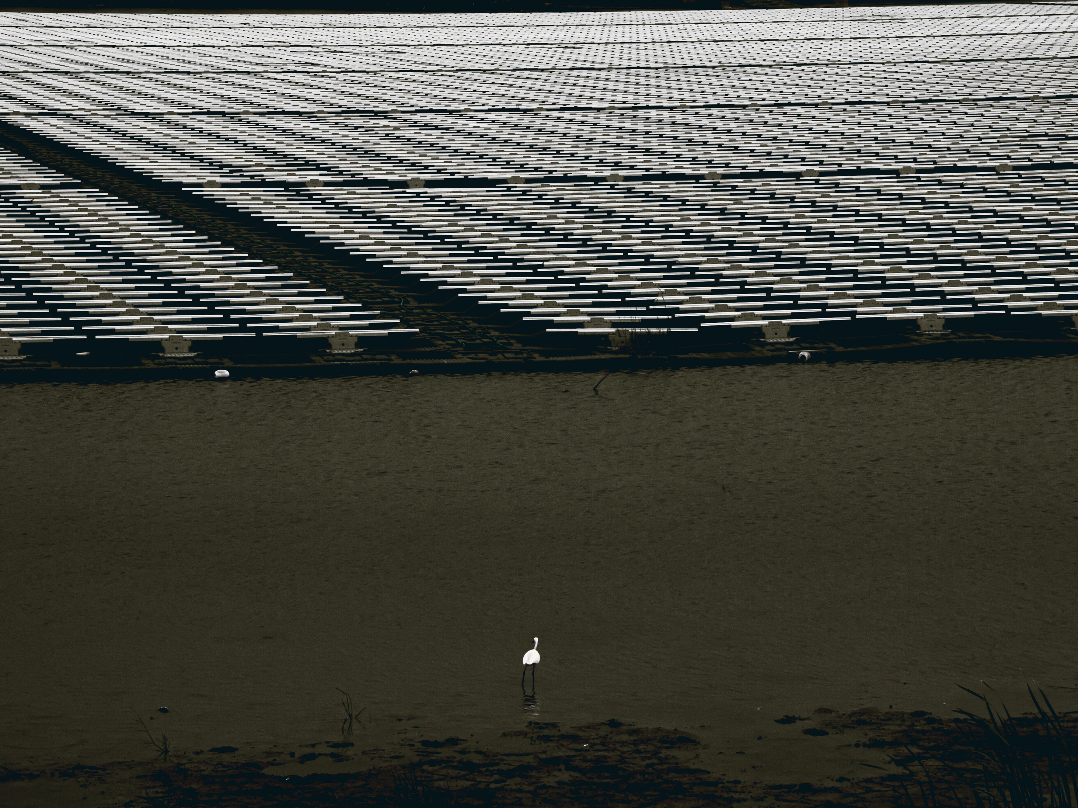 攝影20-湛文甫-太陽嶼、電網