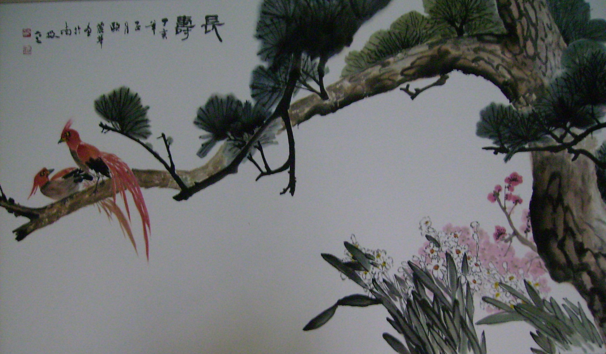 Image-歐麗華-長壽