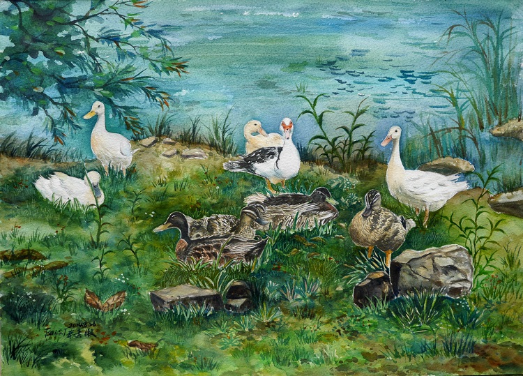 Image-蔡素緞-20140826-悠閒時光