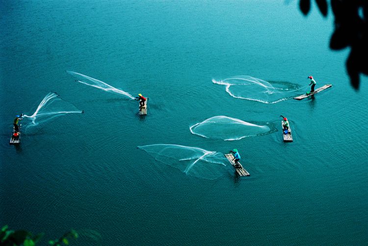 Image-陳鎮雄 攝影 捕魚