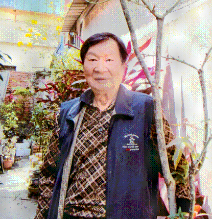 Image-葉松根